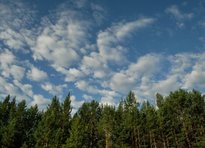 P1460102.jpg